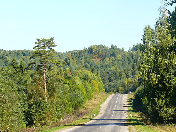 Дорога в Костромской области