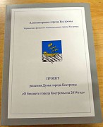 Бюджет города Костромы