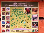Костромской зоологический парк (зоопарк)